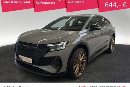 Audi Q4 e-tron Gebrauchtwagen