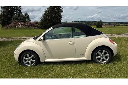 VW New Beetle Gebrauchtwagen