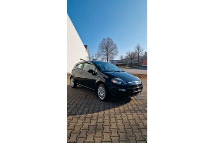 Fiat Punto Evo Gebrauchtwagen