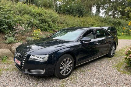 Audi A8 Gebrauchtwagen
