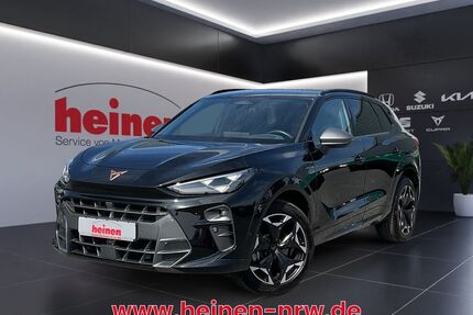 Cupra Terramar Gebrauchtwagen