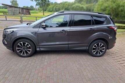 Ford Kuga Gebrauchtwagen