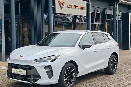 Cupra Terramar Gebrauchtwagen