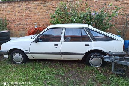 Opel Ascona Gebrauchtwagen
