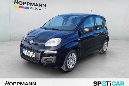 Fiat Panda Gebrauchtwagen