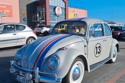VW Käfer Gebrauchtwagen