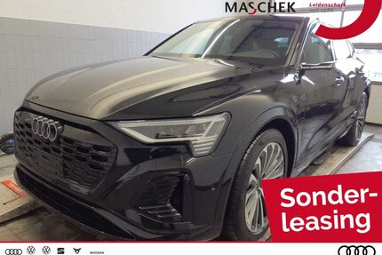Audi Q8 e-tron Gebrauchtwagen