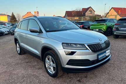 Skoda Karoq Gebrauchtwagen