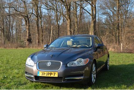 Jaguar XF Gebrauchtwagen