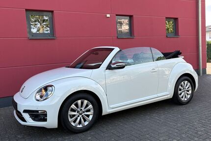 VW Beetle Gebrauchtwagen