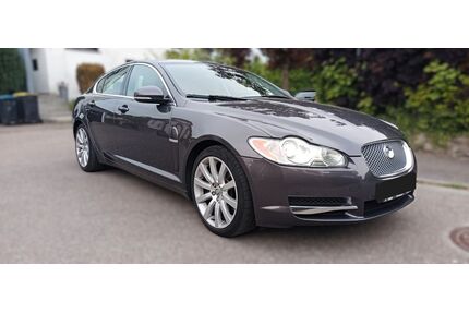 Jaguar XF Gebrauchtwagen