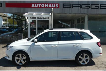 Skoda Fabia Gebrauchtwagen
