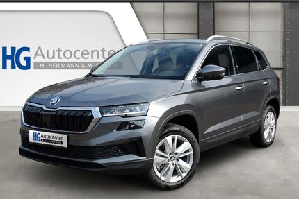 Skoda Karoq Gebrauchtwagen