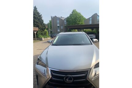 Lexus NX 350h Gebrauchtwagen