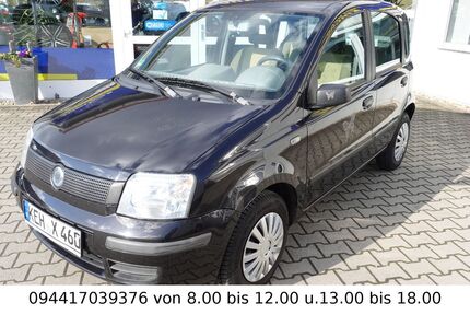 Fiat Panda Gebrauchtwagen