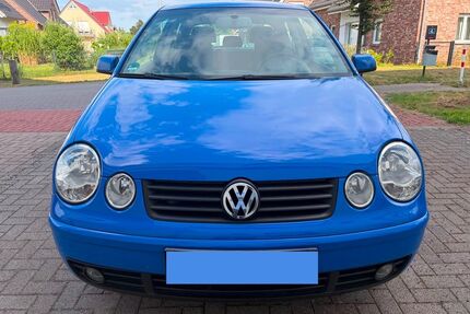 VW Polo Gebrauchtwagen