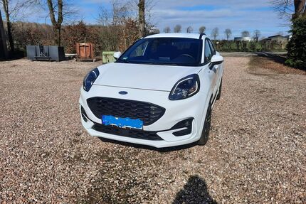 Ford Puma Gebrauchtwagen