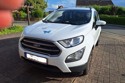 Ford EcoSport Gebrauchtwagen