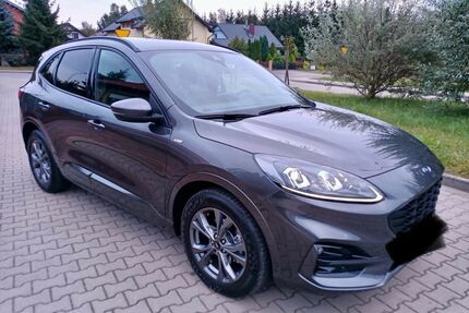 Ford Kuga Gebrauchtwagen