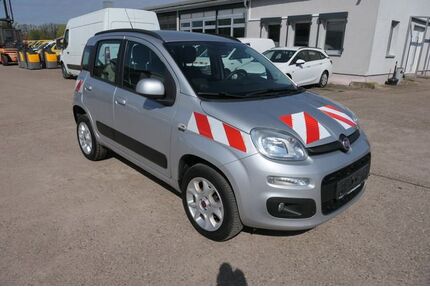 Fiat Panda Gebrauchtwagen