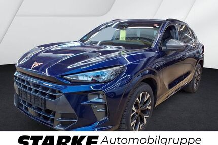 Cupra Terramar Gebrauchtwagen