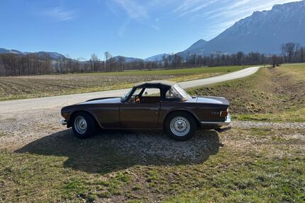 Triumph TR6 Gebrauchtwagen