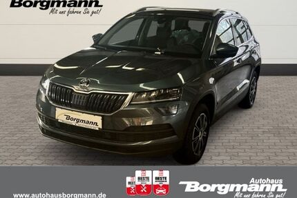 Skoda Karoq Gebrauchtwagen