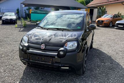 Fiat Panda Gebrauchtwagen