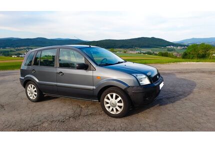 Ford Fusion Gebrauchtwagen