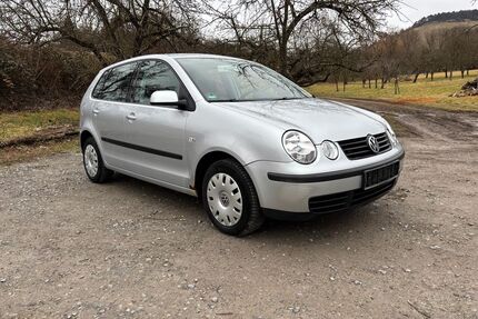 VW Polo Gebrauchtwagen