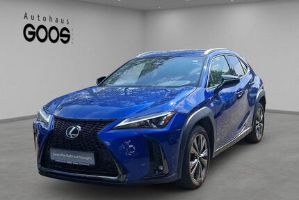 Lexus UX Gebrauchtwagen