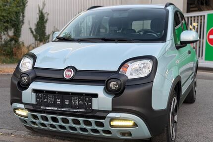 Fiat Panda Gebrauchtwagen