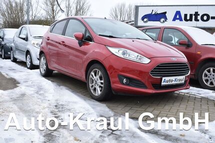 Ford Fiesta Gebrauchtwagen