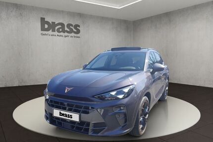 Cupra Terramar Gebrauchtwagen