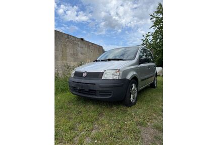 Fiat Panda Gebrauchtwagen