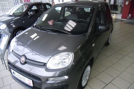 Fiat Panda Gebrauchtwagen