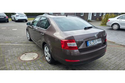 Skoda Octavia Gebrauchtwagen