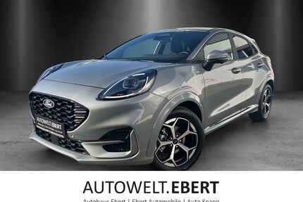 Ford Puma Gebrauchtwagen