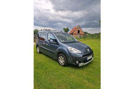Peugeot Partner Tepee Gebrauchtwagen