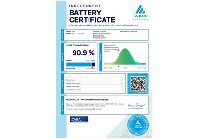 Tesla Model 3 Gebrauchtwagen
