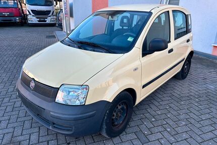Fiat Panda Gebrauchtwagen