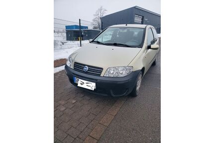 Fiat Punto Gebrauchtwagen