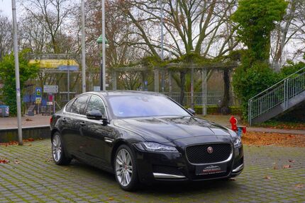 Jaguar XF Gebrauchtwagen