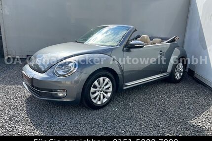 VW Beetle Gebrauchtwagen