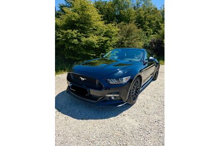Ford Mustang Gebrauchtwagen