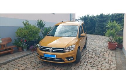 VW Caddy Gebrauchtwagen