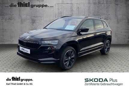 Skoda Karoq Gebrauchtwagen