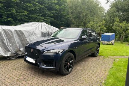 Jaguar F-Pace Gebrauchtwagen