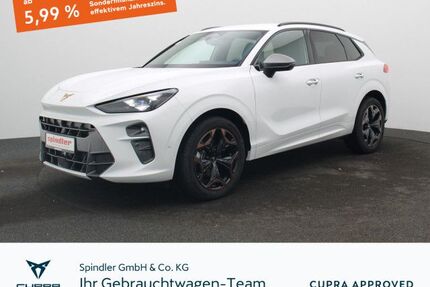 Cupra Terramar Gebrauchtwagen