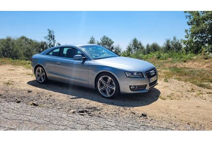 Audi A5 Gebrauchtwagen